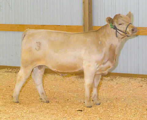 ERM 23R Jr. Bull Champ 9-05